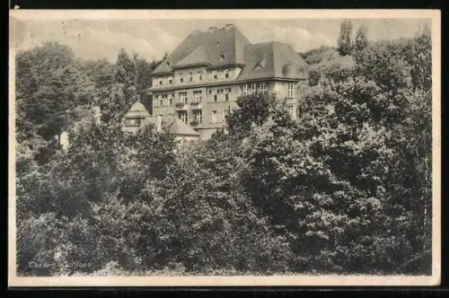 AK Coswig / Sachsen, Schloss