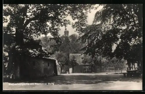 AK Rochlitz, Steinbruchpartie am Rochlitzer Berg