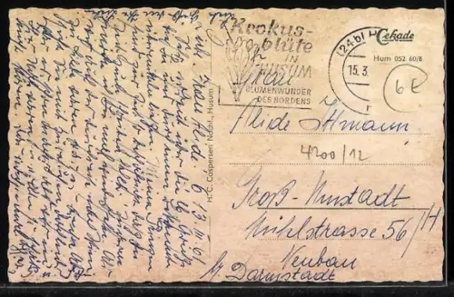 AK Ostenfeld / Husum, Kirche, Pastorat, Krieger-Ehrung, Schule