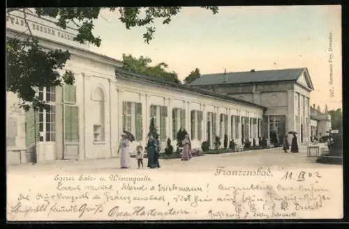 AK Franzensbad, Egerer Salz- u. Wiesenquelle