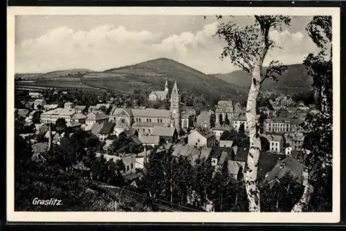 AK Graslitz, Totalansicht mit Bergpanorama