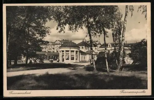 AK Franzensbad, Franzensquelle, Panorama