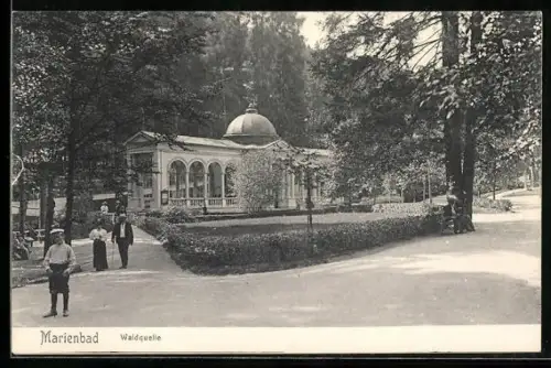 AK Marienbad, Waldquelle mit Anlage u. Strasse