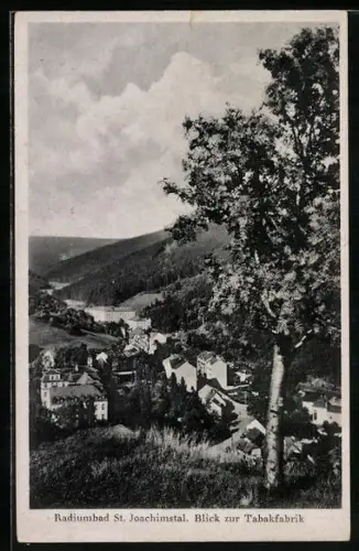 AK St. Joachimstal, Blick zur Tabakfabrik