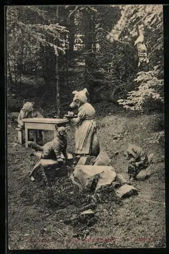 AK Marienbad, Weg zum Café Rübezahl, Fuchsfamilie