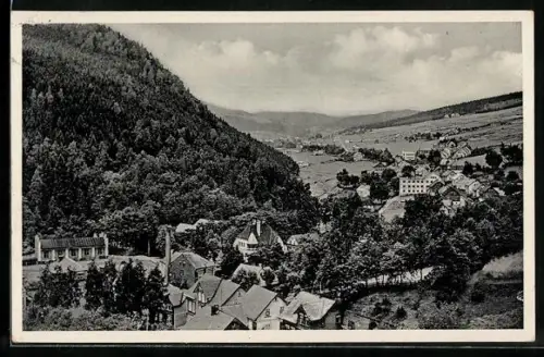AK Graslitz i. Erzgeb., Panorama