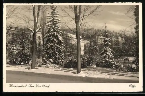 AK Marienbad, Am Parkteich im Winter