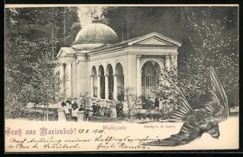 AK Marienbad, Waldquelle mit Schwalbe