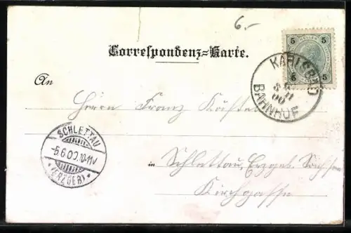 Lithographie Karlsbad, Sprudel, Gartenzeile, Stadtpark