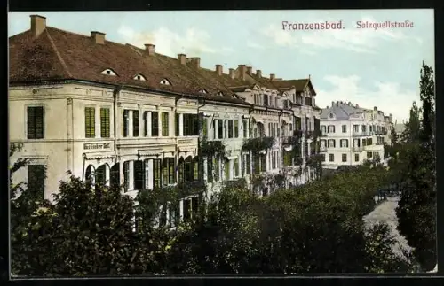 AK Franzensbad, Salzquellstrasse