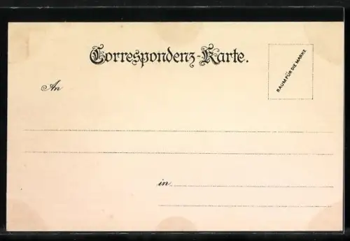 Lithographie Karlsbad, Ortspartie mit Promenade