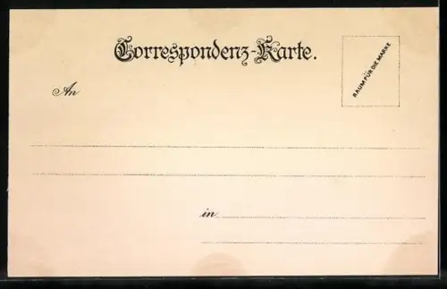 Lithographie Karlsbad, Ortsansicht aus der Vogelschau