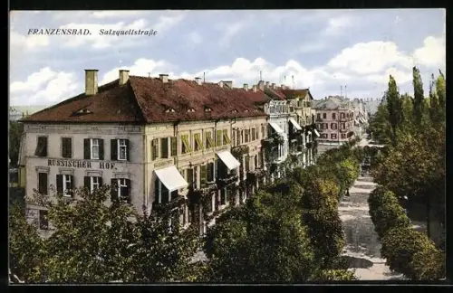 AK Franzensbad, Salzquellstrasse mit Hotel Russischer Hof