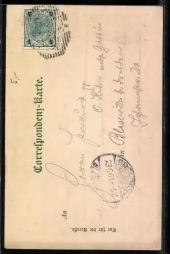 Künstler-Lithographie Erwin Spindler: Karlsbad, Ansicht eines Sprudels