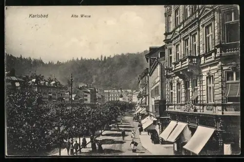 AK Karlsbad, alte Wiese