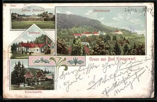 AK Bad Königswart, Schloss Metternich, Badehaus, Richardsquelle