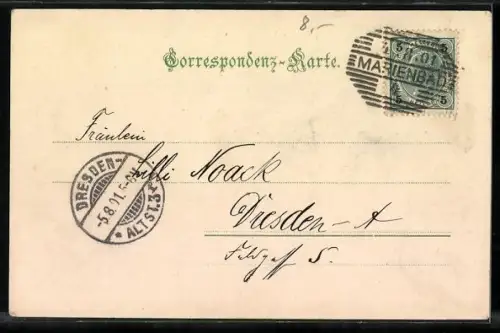 AK Marienbad, Strassenpartie mit Paradies und Geschäften