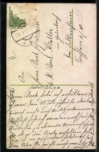 AK Marienbad, Villa Wald-Idylle