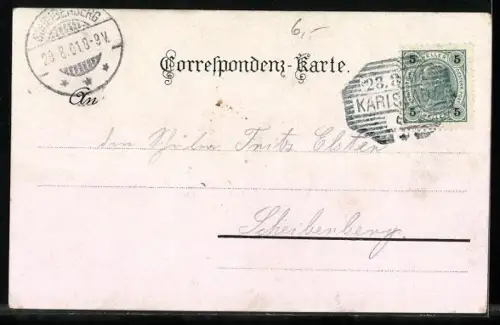 Lithographie Karlsbad, Alte Wiese, Theater, Schillerhaus, Das Kaiserbad