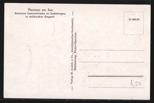 AK Hammer Am See / Hamr Na Jezere, Partie im Strandbad