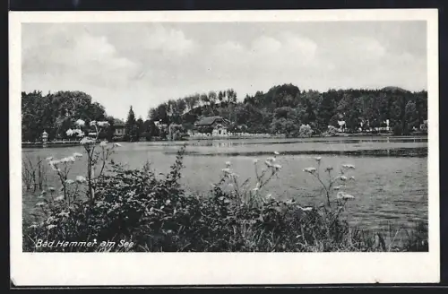 AK Bad Hammer am See, Uferpartie