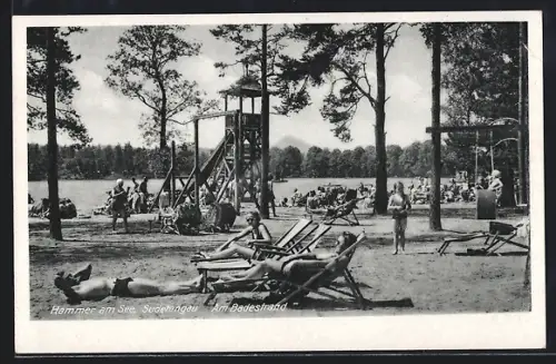 AK Hammer am See, Am Badestrand