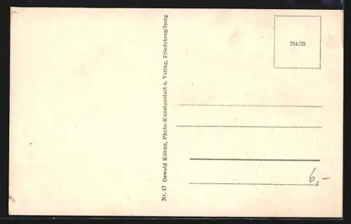 AK Neustadt a. T., Panorama mit Kirche