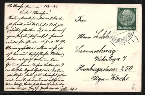 AK Morchenstern im Isergebirge, Teilansicht