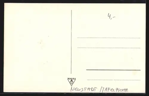 AK Neustadt /Tafelfichte, Panorama
