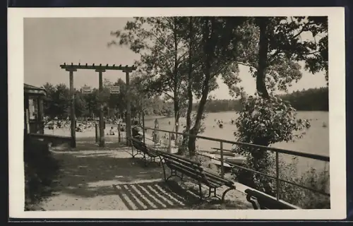 AK Kummer am See, Uferpartie und Frau im Badeanzug