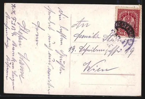 AK Reichenberg i. B., Partie am Schloss, Totalansicht des Ortes aus der Vogelschau