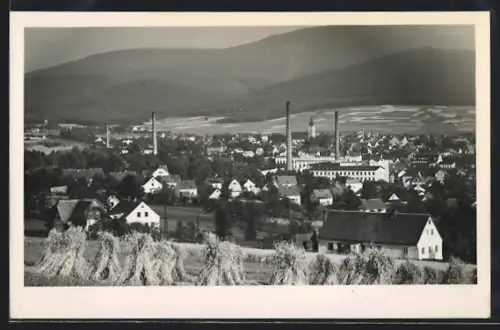 AK Neustadt a. T., Ortsansicht mit Fabriken und Heuschobern