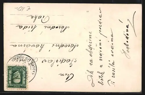 AK Tiefenbach a. D., Blick über den Ort