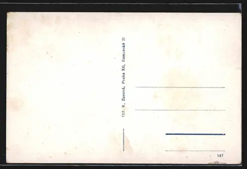 AK Domazlice, Most, Ulice