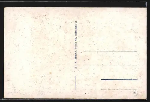 AK Domazlice, Ulice, Most