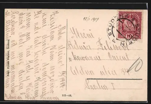 AK Studena, Celkovy Pohled