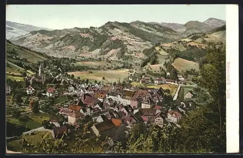 AK Lichtensteig, Ortsansicht vom Berghang aus