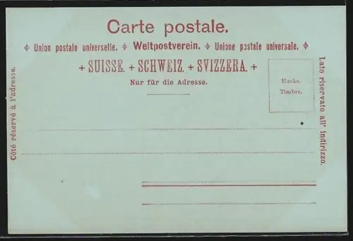 Mondschein-AK Lausanne, Vue générale