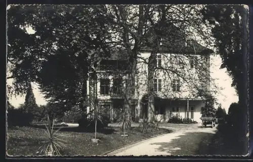 AK Mannenbach, Museum Arenenberg