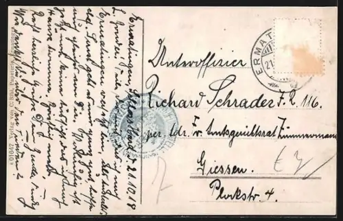 AK Ermatingen, Ortsansicht mit Blick zur Insel Reichenau