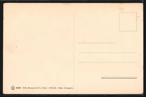 AK Luino /Lago Maggiore, Panorama
