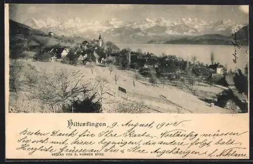 AK Hilterfingen, Ortsansicht aus der Vogelschau