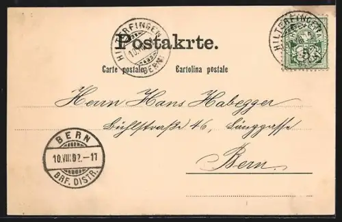 AK Hilterfingen, Ortsansicht aus der Vogelschau