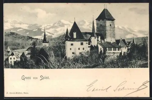 AK Spiez, Festung mit Bergpanorama