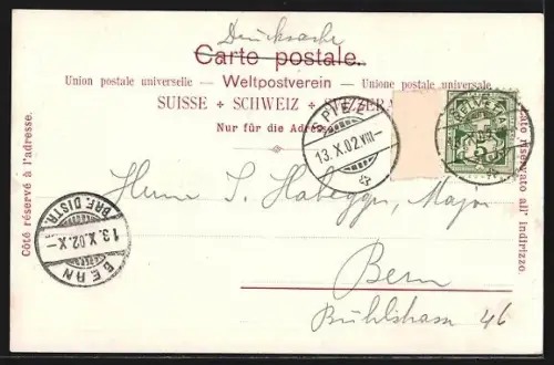 AK Gunten, Boote auf dem See