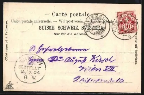 Lithographie Einsiedeln, Kloster und Schwalben