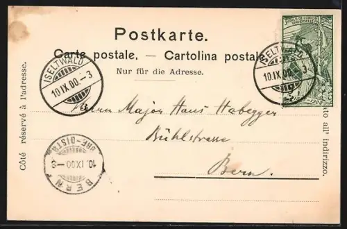 AK Iseltwald, Ortsansicht mit See