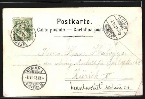 Lithographie Bern, Inselspital aus der Vogelschau