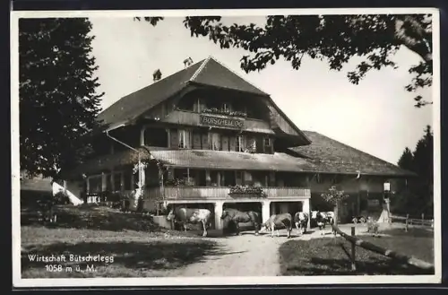 AK Bütschelegg, Gasthof Bütschelegg mit Vieh vor dem Haus