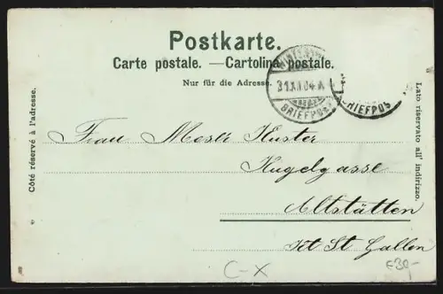 Mondschein-Lithographie Winterthur, Ortsansicht im Vollmondlicht